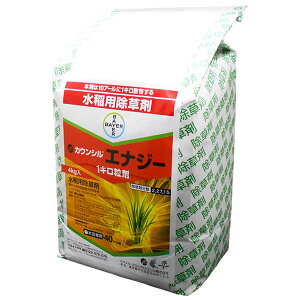 12/5()IIm1/2Iő100pobN(EvGg[)pEꔭ܁@JEVGiW[1L܁@4kg