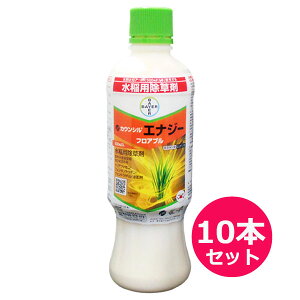 pEꔭ܁@JEVGiW[tAu@500ml×10{Zbg