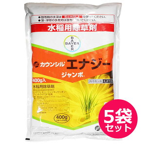 pEꔭ܁@JEVGiW[W{400g×5܃Zbg@ݗp