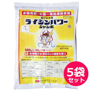 pEꔭ܁@CWp[W{@500g×5܃Zbg@ݗp