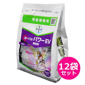 cp@EEۍ܁@[op[EV܁@1kg×12܃Zbg