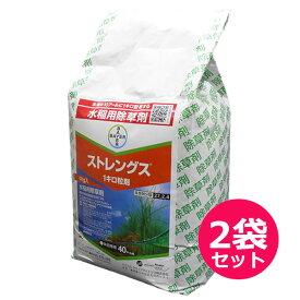 水稲用初・中期一発処理除草剤 ストレングス1キロ粒剤　4kg×2袋セット