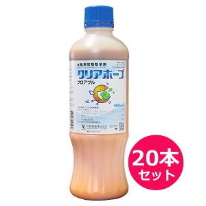 p܁@NAz[vtAu500ml×20{Zbg