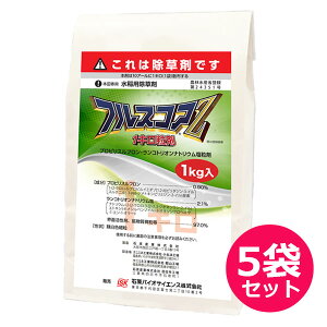 pꔭ܁@tXRAZ1L܁@1kg×5܃Zbg