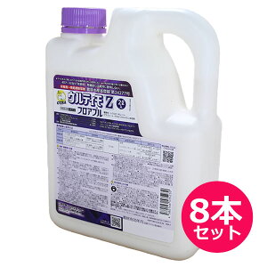 pꔭ܁@EeBZtAu@2L×8{Zbg