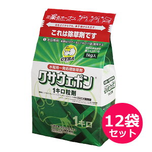 pꔭ܁@NTEF|1L܁@1kg×12܃Zbg