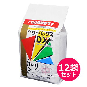 p܃U[xbNXDX1L܁@1kg×12܃Zbg
