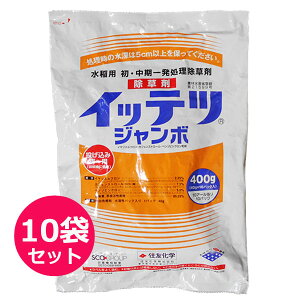 pEꔭ܁@CbecW{@400g×10܃Zbg@ݗp