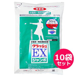 pꔭ܁@NbVEXW{@500g×10܃Zbg@ݗp