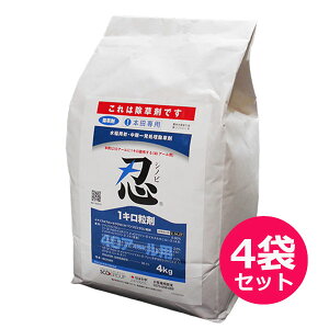 pEꔭ܁@E1L܁@4kg×4܃Zbg