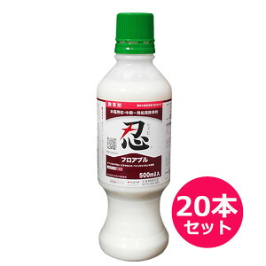 pEꔭ܁@EtAu500ml×20{Zbg