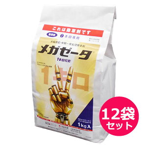 pEꔭ܁@K[[^1L܁@1kg×12܃Zbg