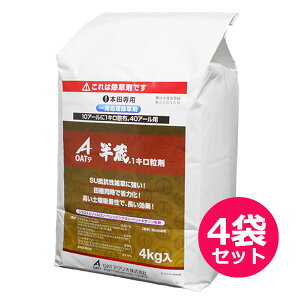 pꔭ܁@1L܁@4kg×4܃Zbg