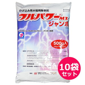 pEꔭ܁@tp[MXW{@500g×10܃Zbg@ݗp