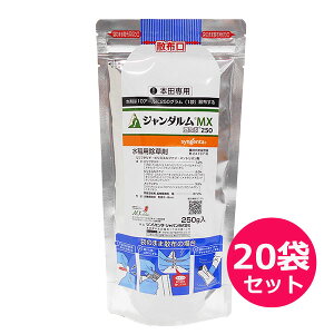 9/5()IIm1/2Iő100pobN(EvGg[)pEꔭ W_MXԁ@250g×20܃Zbg