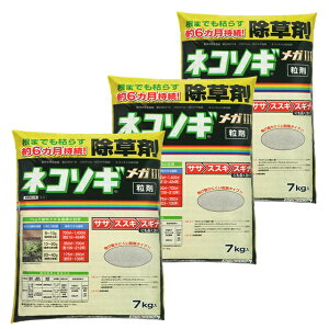 ܁@lR\MK3܁@7kg×3܃Zbg@܂Ō͂炷@珉̎GɌʓI@ԎG̔}@6@TTEXXLEXMi@NClȎG@y돈^@