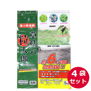 _knp܁@͂ꗱY  5kg×4܃Zbg@u}V5.0