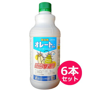 EEEۍ܁@I[gt܁@1L×6{Zbg