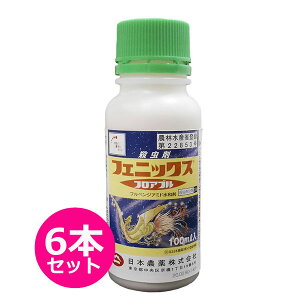 E܁@tFjbNXtAu@100ml×6{Zbg