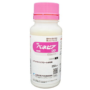 E܁@xlrAOD@ 250ml×2{Zbg