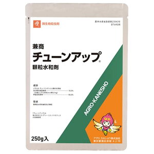 12/5()IIm1/2Iő100pobN(EvGg[)yǐՉ\[ց@370~zE܁@`[Abva܁@250g@E܁ysz