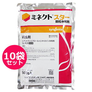 cpE܁@~lNgX^[a܁@500g×10܃Zbg