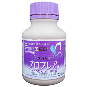 E utASC@250ml@`EځEnV