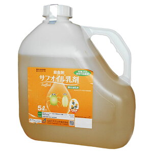 12/5()IIm1/2Iő100pobN(EvGg[)E_j܁@TtIC@5L@E_jEE܁@܁@L@JASgp\_@h܁@VRR