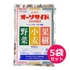 Eۍ܁@I[\TCha܁@500g×5܃Zbg