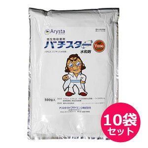 Eۍ܁@o`X^[a܁@500g×10܃Zbg