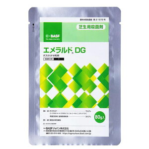 ŐpEۍ GhDG@80g