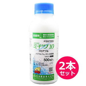 Eۍ܁@~M10tAu@500ml×2{Zbg