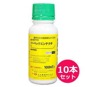 Eۍ ][xbNGeN^SE 100ml×10{Zbg