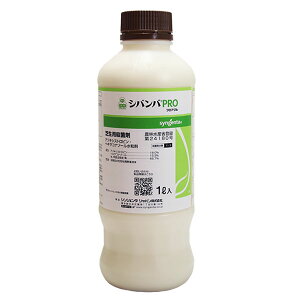 ŗpEۍ܁@ŗpEۍ܁@VooPROtAu@1L