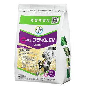 cp@EEۍ܁@[ovCEV܁@1kg×5܃Zbg