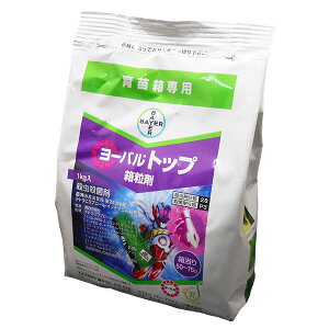 cp@EEۍ܁@[ogbv܁@1kg