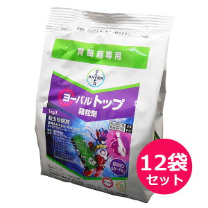 cp@EEۍ܁@[ogbv܁@1kg×12܃Zbg