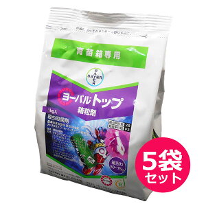 cp@EEۍ܁@[ogbv܁@1kg×5܃Zbg