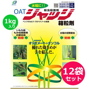 pEEۍ܁@WbW܁@1kg×12܃Zbg