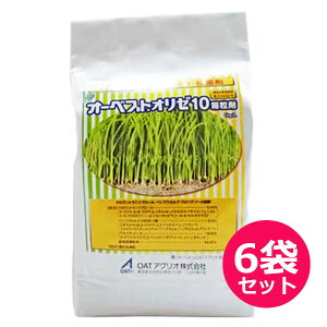 cpEEEۍ܁@I[xXgI[10܁@1kg×6܃Zbg