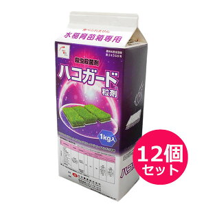 cp@EEۍ܁@nRK[h܁@1kg(pbN)×12Zbg