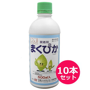 W܁@܂҂@500ml×10{Zbg