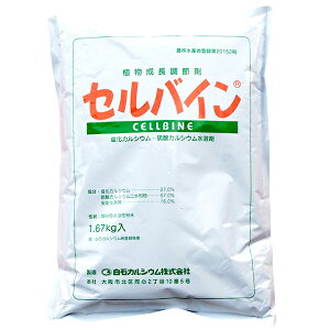 A܁@ZoCn1.67kg@B݂񕂔y