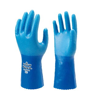 Ɨp܁@ V[O[u eX@SEMEL@h