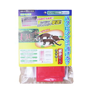 12/5()IIm1/2Iő100pobN(EvGg[)nNrVȂHHBH-6hV[g@6V[g@bQ΍!!