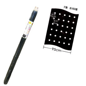 楽天市場 玉ねぎ 穴 あき マルチの通販