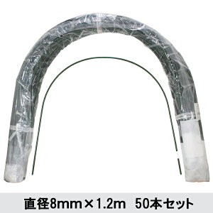 y@llzElzszyEzszyԎwszVZC@glx@a8mm×1.2m@50{Zbg