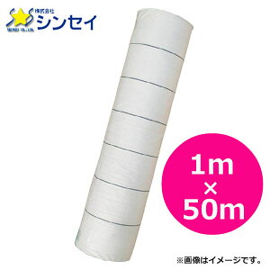 VZC@hV[g@TzCg@1m×50m@؉̎G΍pV[g@F