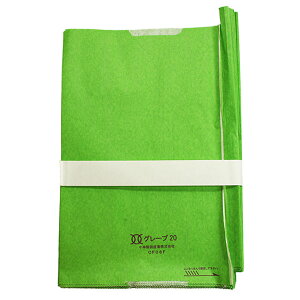 ѐ܎YƁ@O[v20@J[Ύ~o@20@100@217mm×315mm@CF08F@ʎ܁@Ԃǂ܁@VC܁@VC}XJbg@O[@aQ\h@ӕa@a@ʎی