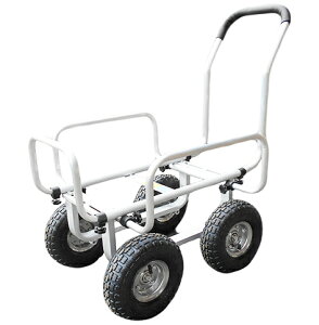 y@llzElzszyEzszyԎwszLkA~nEXJ[@10C`GA[^CTC4503AL